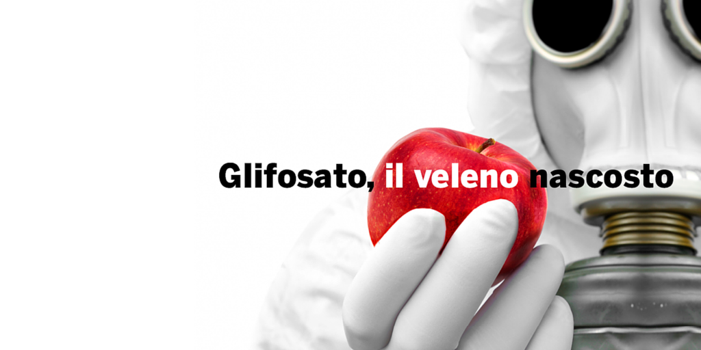 glifosato