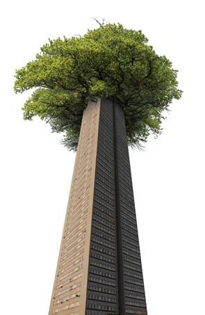 large-tree-tower