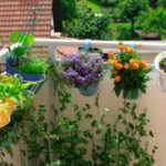 erbe aromatiche balcone2