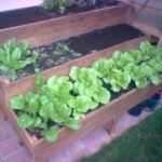 garden Box