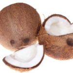 noce-di-cocco