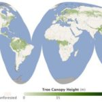 la_mappa_delle_foreste_del_mondo_Nasa