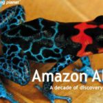 Amazon_Alive