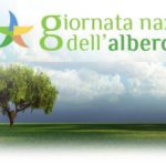 giornata_albero