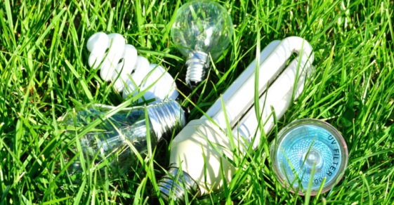 Lampadine a risparmio energetico: la guida ragionata sulle lampade a basso  consumo - greenMe