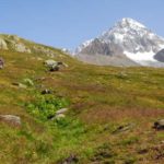 parco_nazionale_dello_stelvio