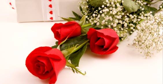 San Valentino: rose e soggiorni in agriturismo i regali più gettonati -  greenMe