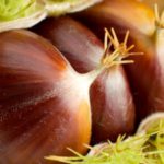 castagne_apicoltori