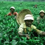 bambini sfruttamento lavoro