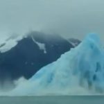 iceberg roll2