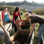 alemany farm san francisco