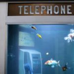 aquarium phone 1