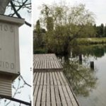 bat box milano2