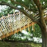 dartmoor treehouse