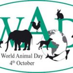 world animal day