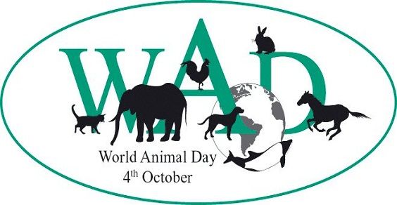 world animal day