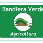 bandiera verde