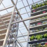 singapore vertical farm