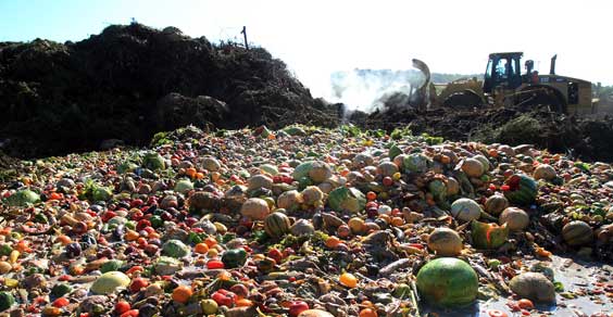 Food waste o spreco di cibo