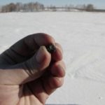 meteorite trovato