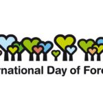 giornata internazionale foreste