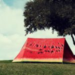 field-candy-tents cocomero