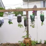 Hanging Garden