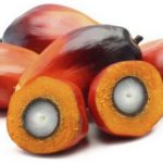 olio di palma salute belgio