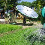 pompa irrigazione energia solare