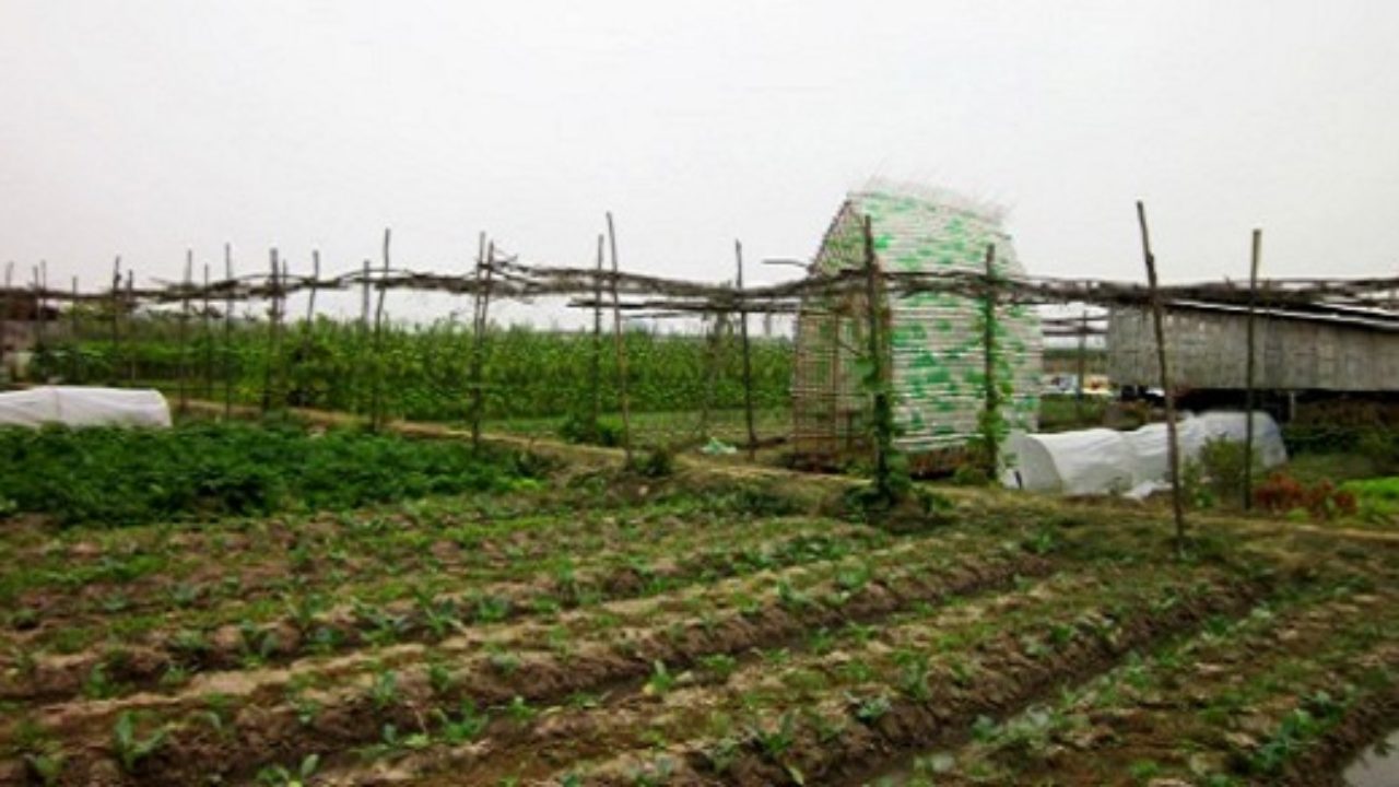 La Serra Fatta Con Bambu E 2mila Bottiglie Di Plastica Per