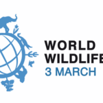 cites-worldlife-day