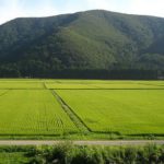 agricoltura fukushima