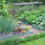 permaculture-garden-reduced