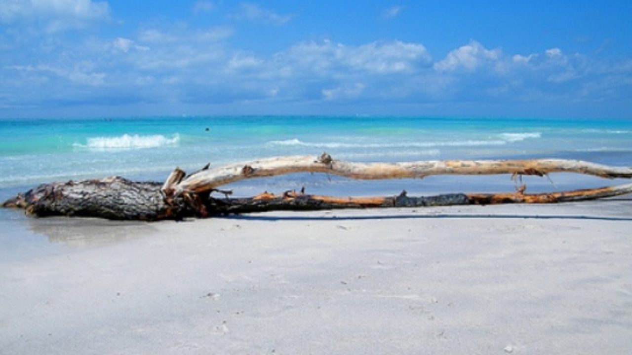 Spiagge Bianche Le Spiagge Caraibiche Create Da Solvay