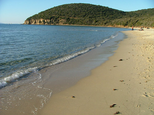 Spiaggia Di Cavoli Veduta Aerea Con Drone Isola Delba