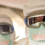 ebola deforestazione