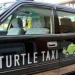 turtle taxi 1