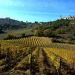 vigneti umbria assegnati