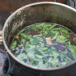 ayahuasca