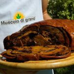 muscolo di grano