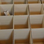 labirinto gatti