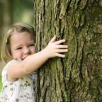 abbracciare un albero