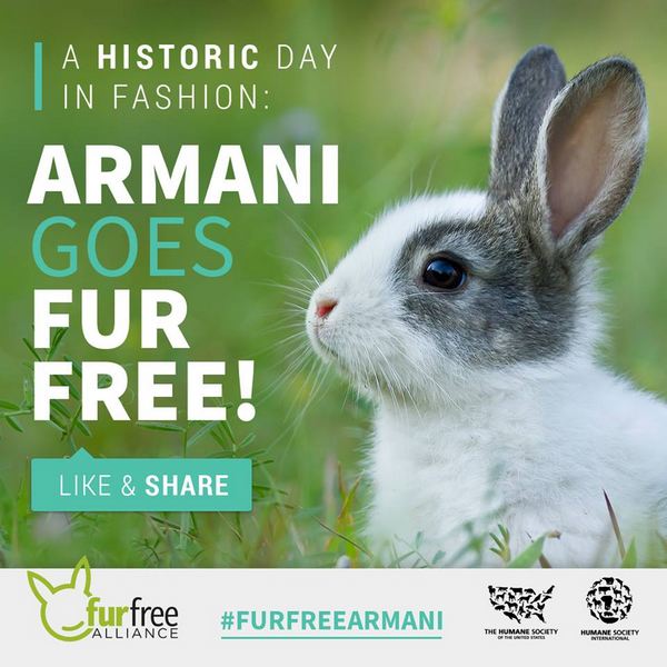 fur free armani