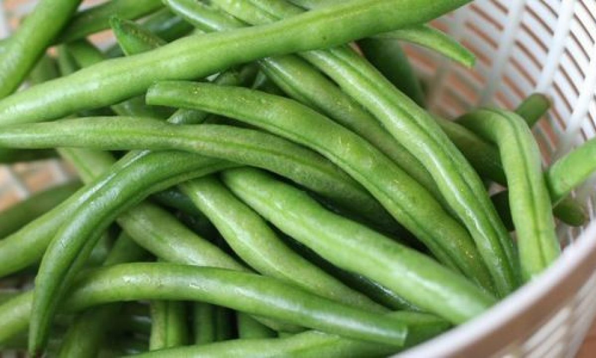 Fagiolini Calorie Proprieta E Benefici Per La Salute Greenme