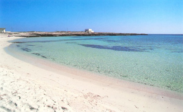 Le 10 Spiagge Più Belle Di Favignana Greenmeit