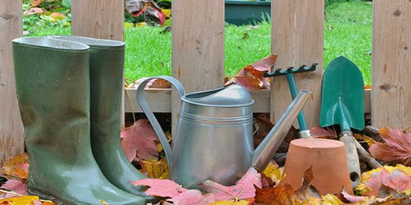 autunno orto giardino