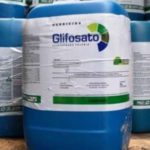 glifosato cover