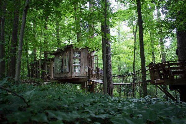 airbnb treehouse9