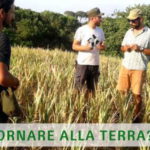 terra-agricoltura