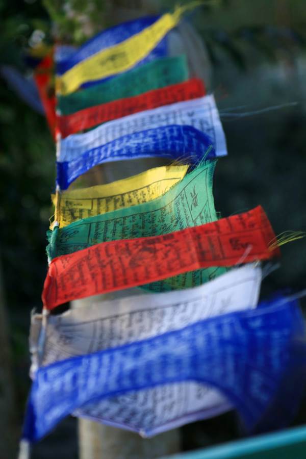 Bandiere con preghiere tibetane, realizzate a mano in Nepal, con cavallo  del vento, 5 rotoli : : Giardino e giardinaggio